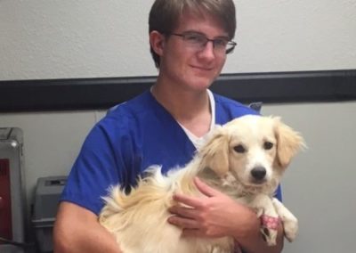 Mauer Animal Clinic vet tech with dog