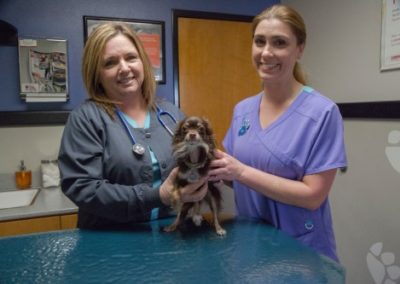 Mauer Animal Clinic vet and vet tech with dog