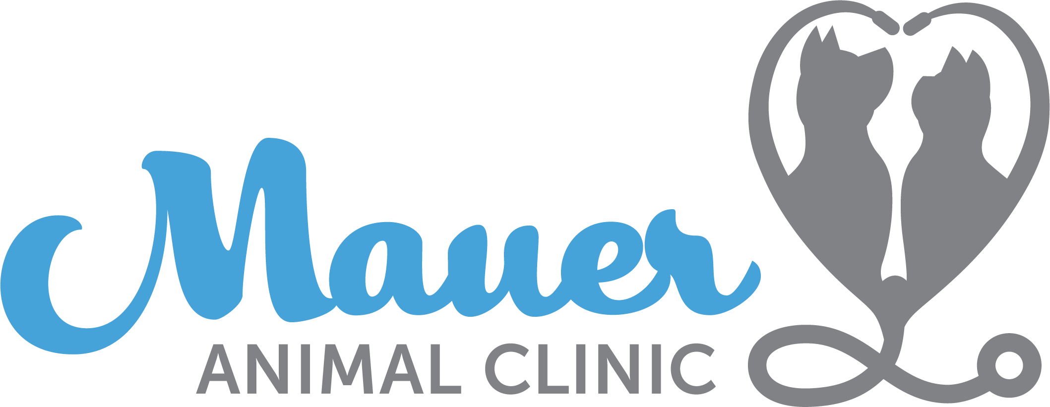 Mauer Animal Clinic